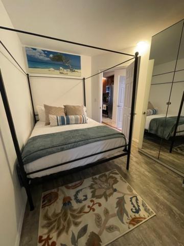 Modern Brooklyn's Hidden Gem Apartment New York