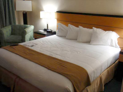 Holiday Express Kennedy Airport, An Ihg Hotel