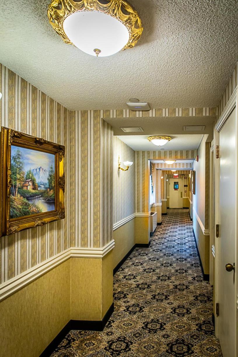 The Avenue Plaza 3*