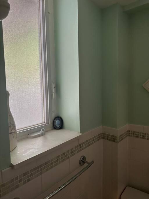 Morris Park Area Apartment New York