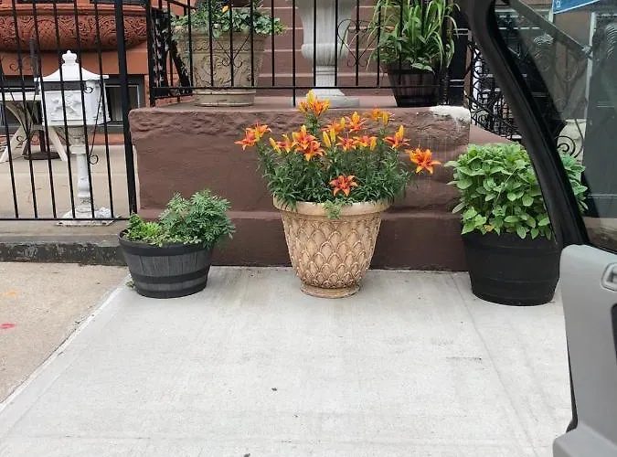 Brooklyn Brownstone