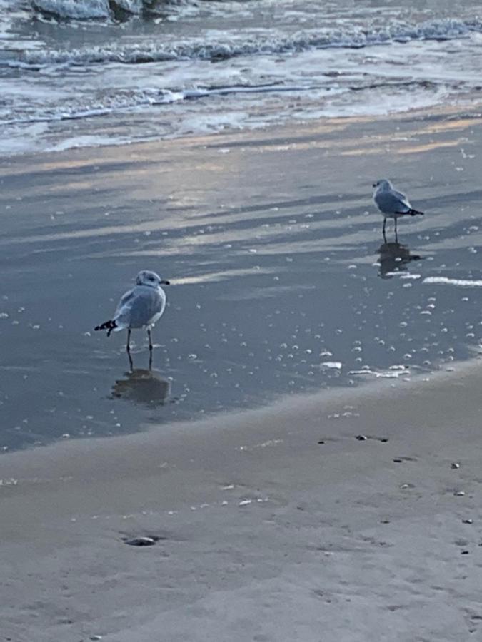 Jaris Beach * New York