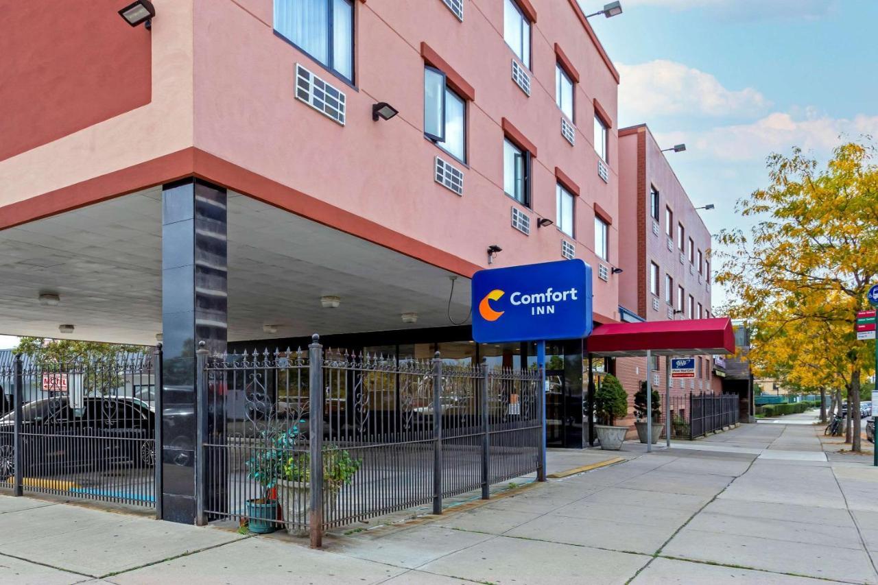 Comfort Brooklyn
