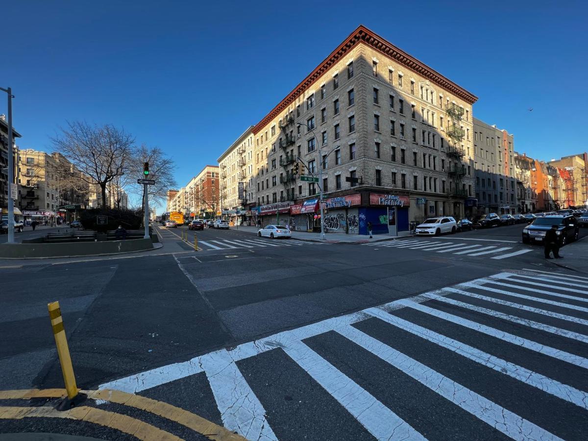 Nyc Guest For Rent
