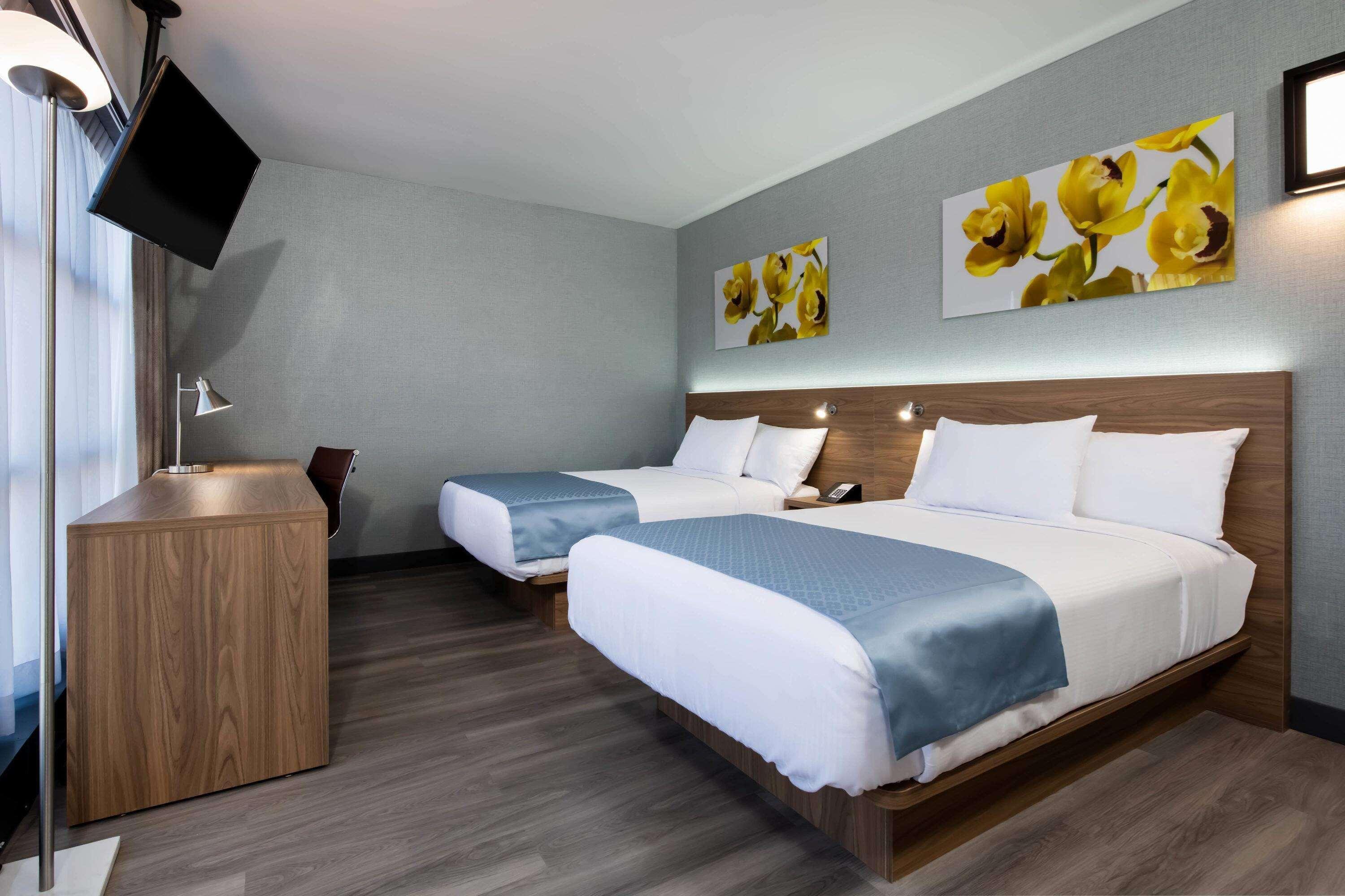 Wingate By Wyndham Long Island