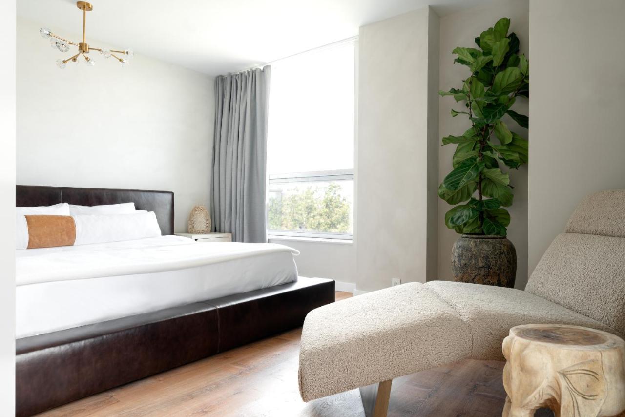 Coda Williamsburg 4*