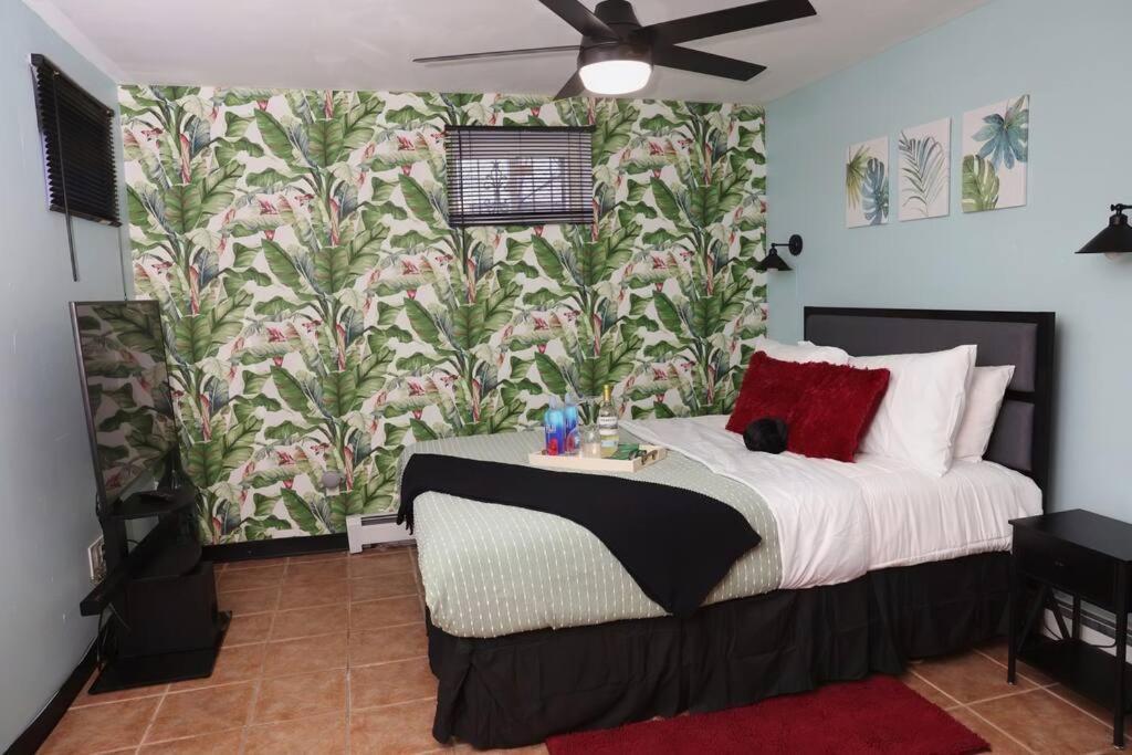 Apartment Tropical Oasis-private Studio-near Jfk