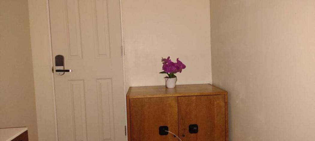 & Affordable Williamsburg Small Homestay New York