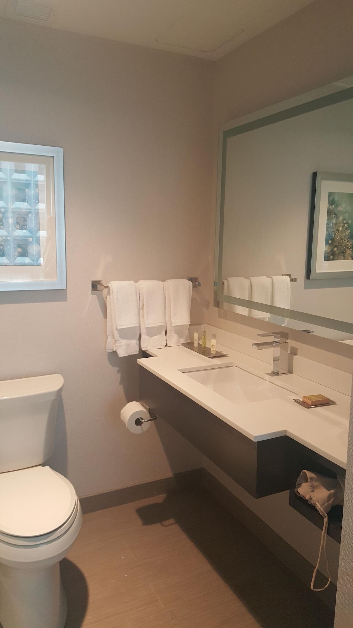 Hilton Garden Nyc Financial Center/manhattan Downtown 3* New York