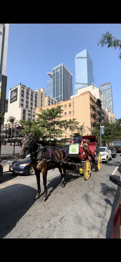 Hudson Yard Hk Homestay *