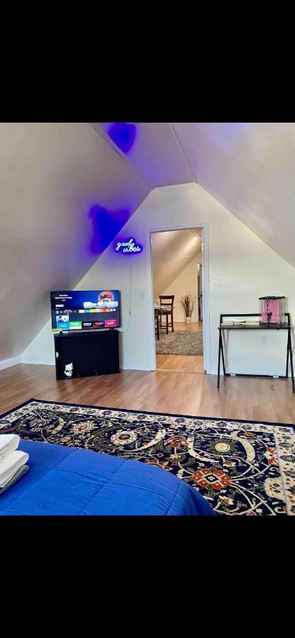 Newly Renovated One Bedroom Shared Cheerful In The Heart Of Queens *