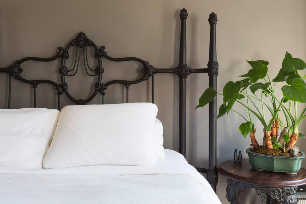 Sunny Stylish West Village Apartment