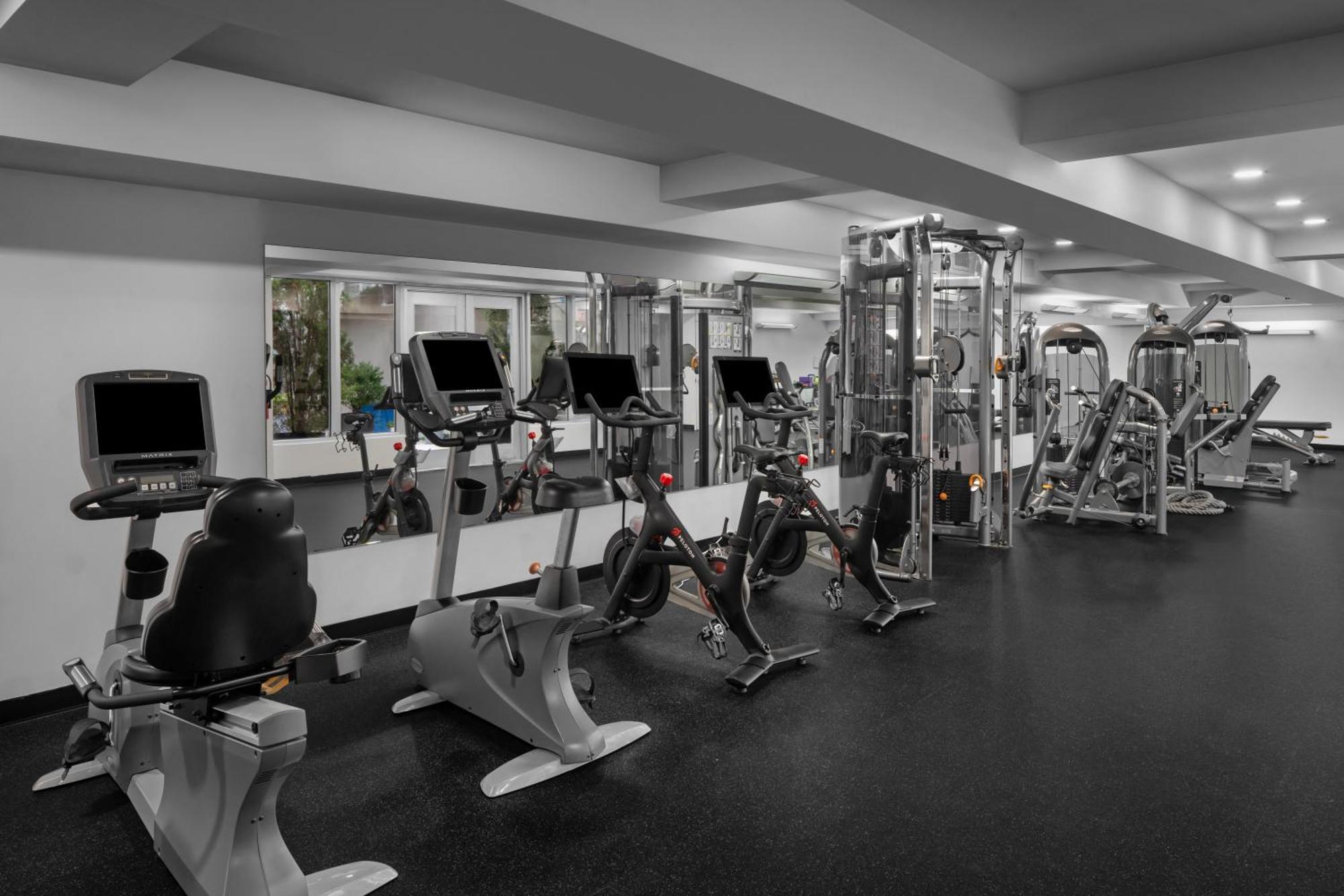 Coda Williamsburg 4*