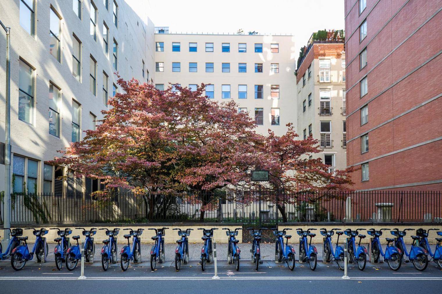 Blueground Chelsea Gym Doorman Nr Market Nyc-494 * New York