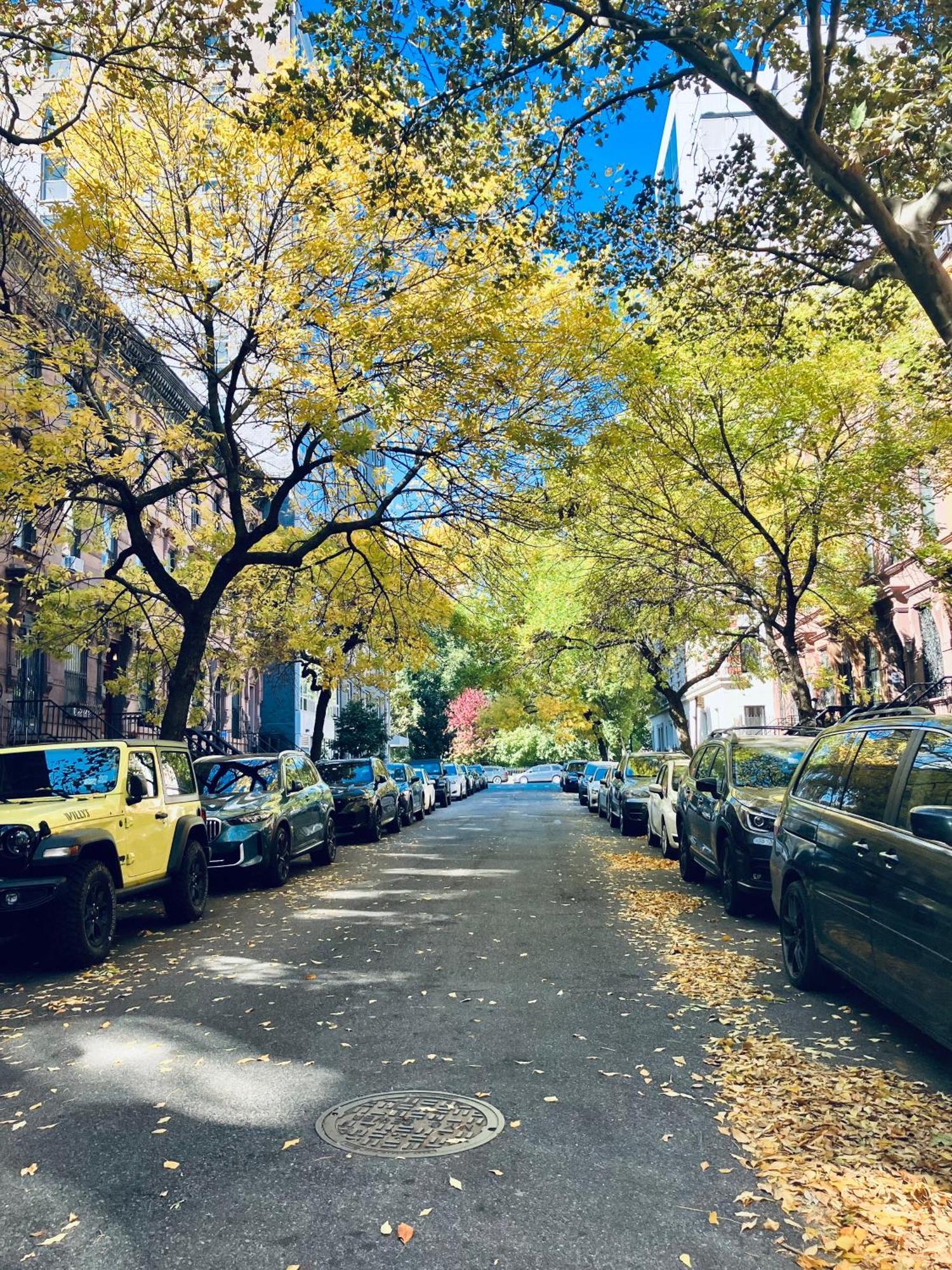 Harlem Grand