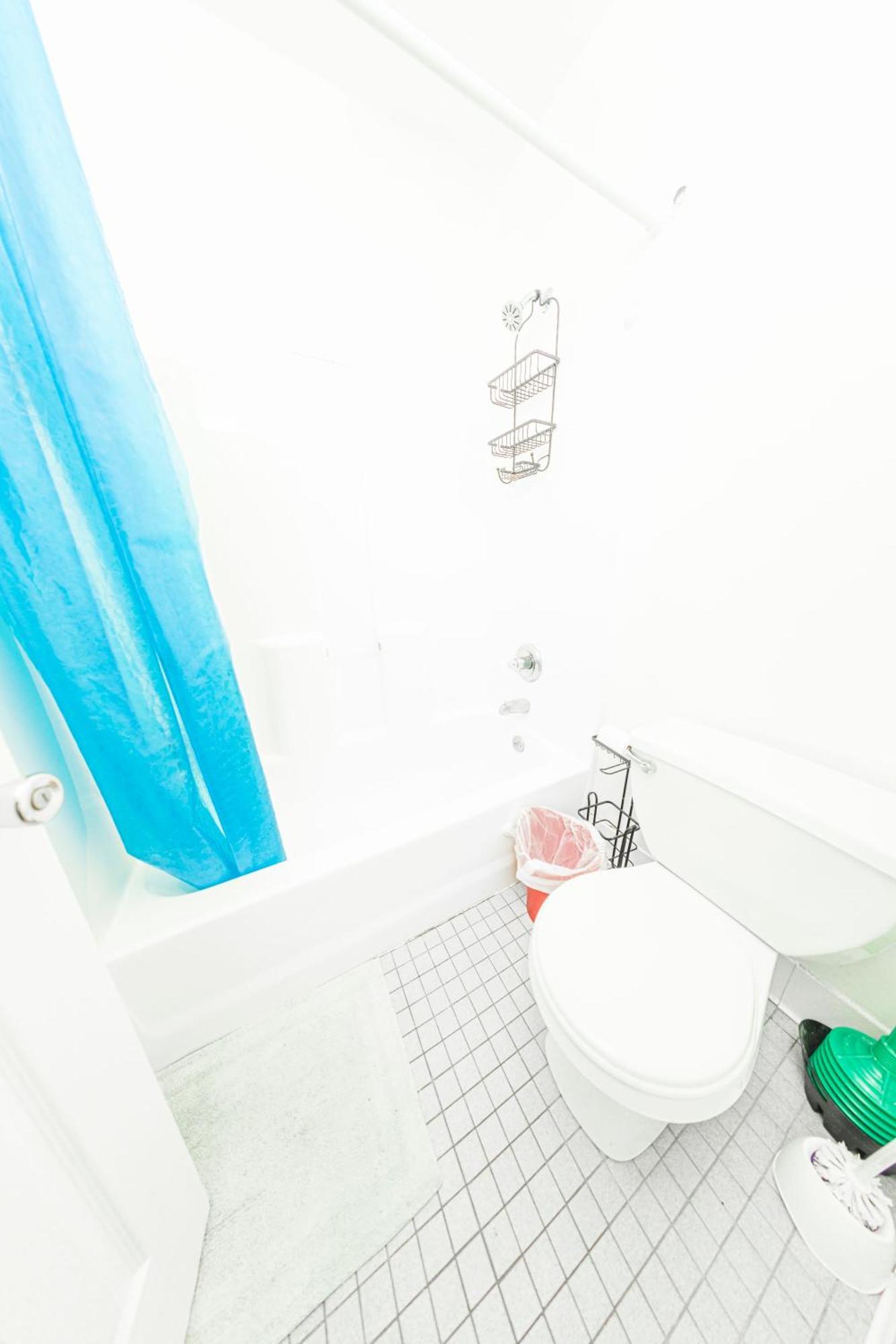 Homestay Friendly In Williamsburg