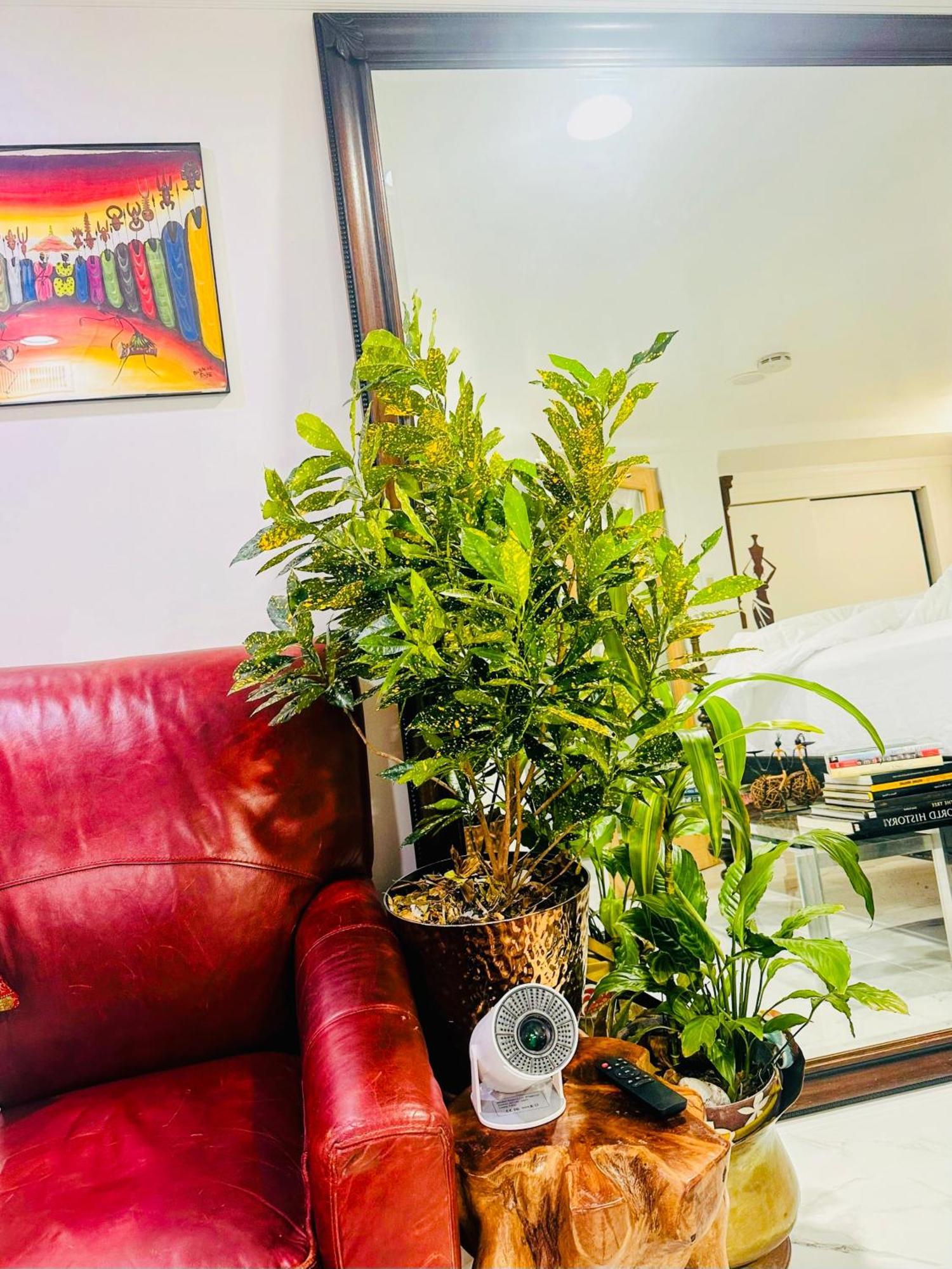 10 Minutes Away From Jfk Apartment New York