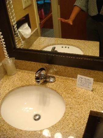 Red Lion & Long Island City Hotel 3*