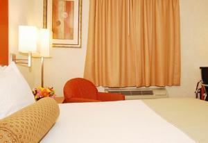 Best Western Jfk Airport 3*
