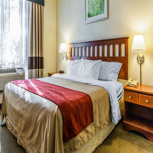 Hotel Red Lion & Long Island City New York