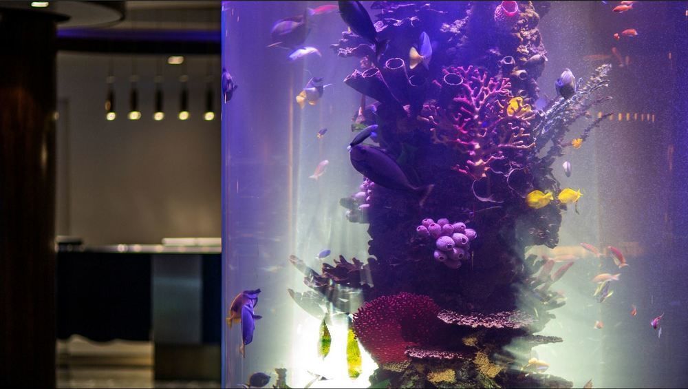 Dream Midtown, By Hyatt 4*