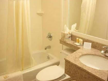 Hotel Lexington New York