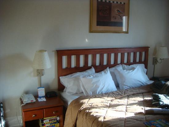 Red Lion & Long Island City 3*