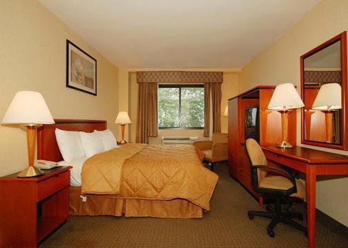 Comfort Brooklyn Hotel New York