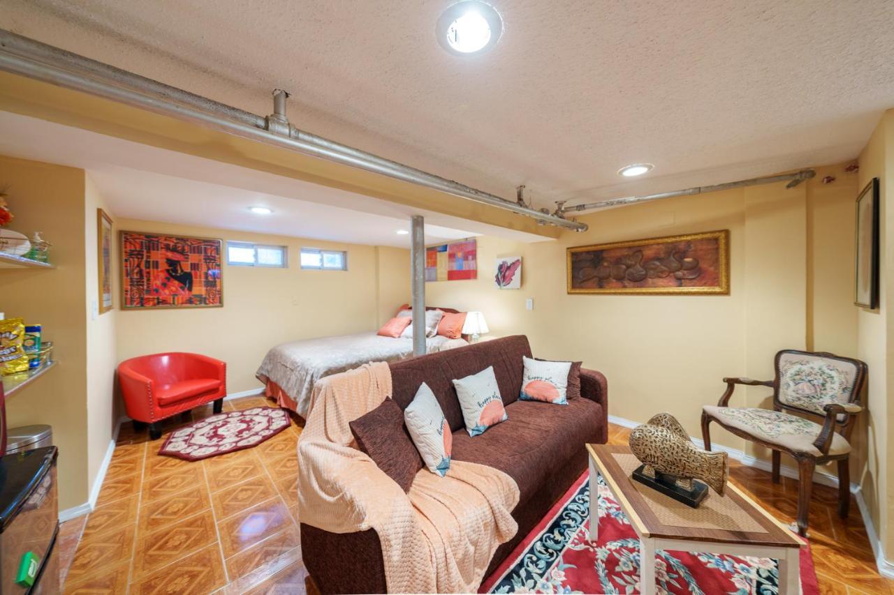 Newly Renovated Beautiful Studio Apt Apartment