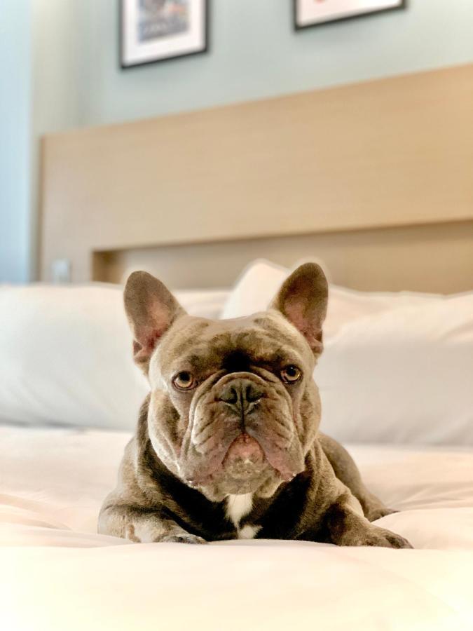 Hotel Wingate By Wyndham Bronx Haven Park 3*