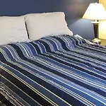 Central Park Hostel