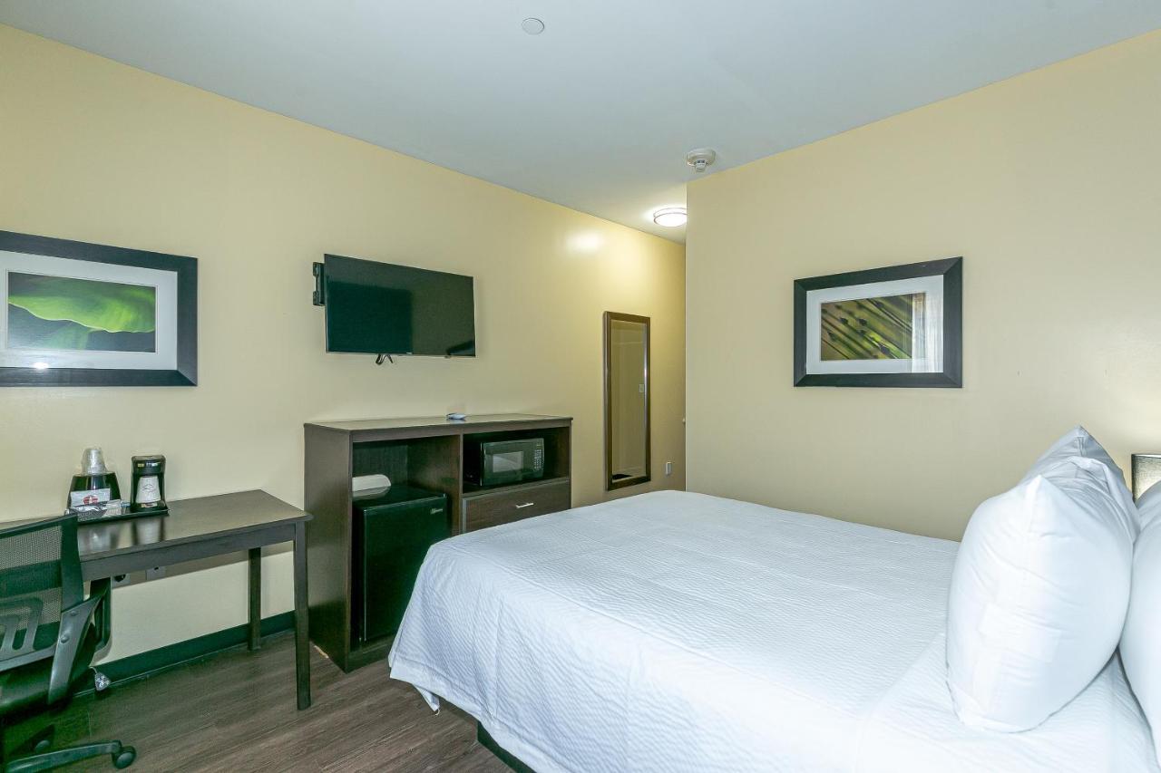 Ozone Inn & Suites