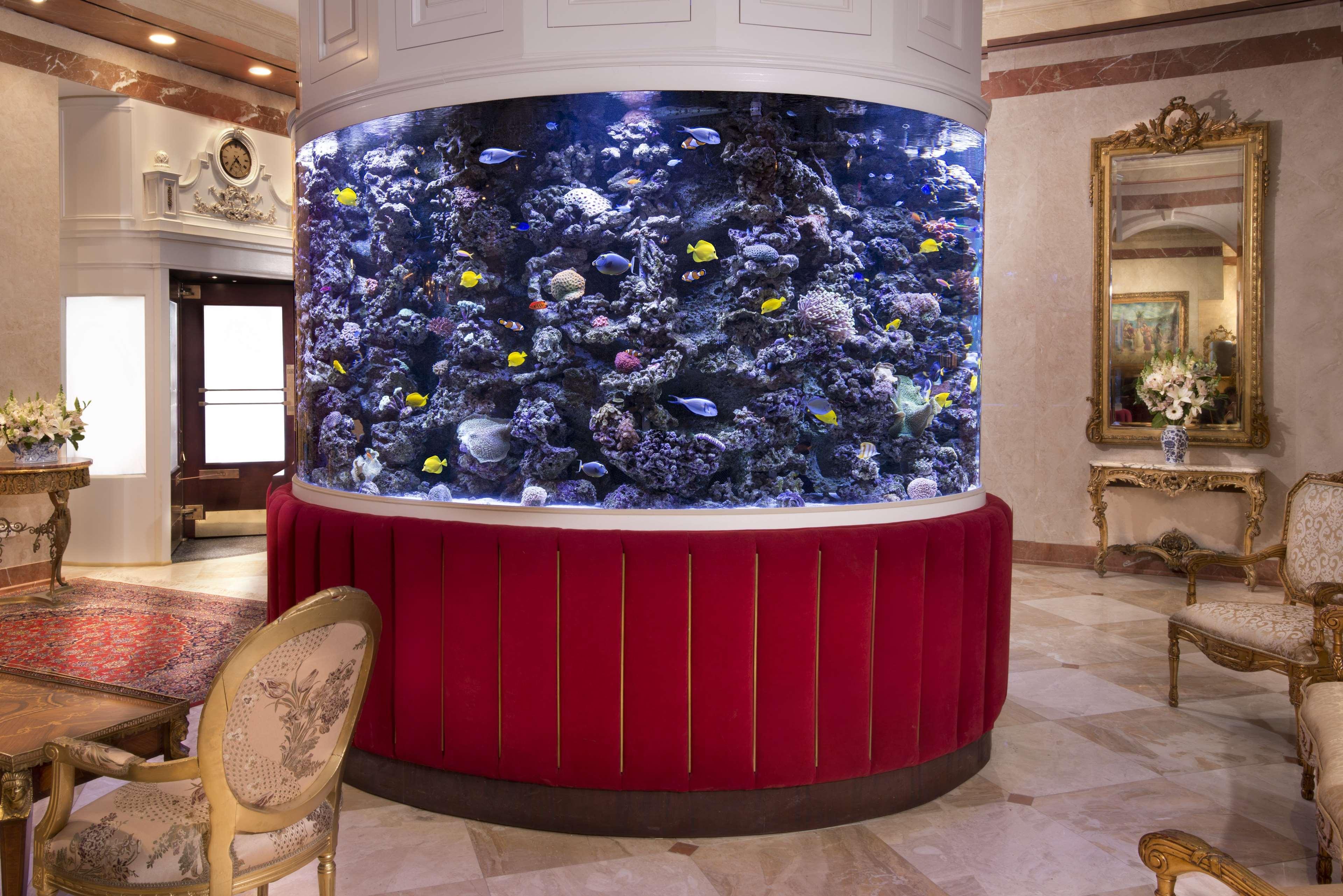 The Kimberly Hotel
