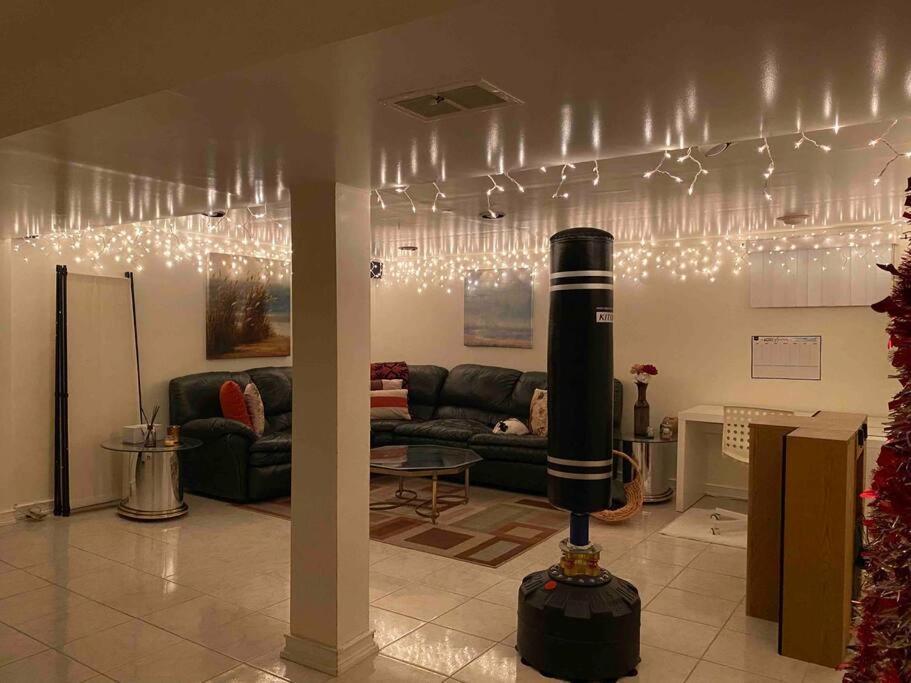 Treasure In Queens Apartment New York