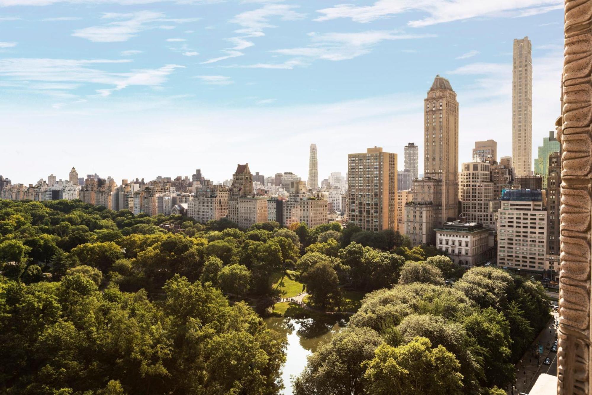 The Ritz-carlton New York, Central Park 5* New York