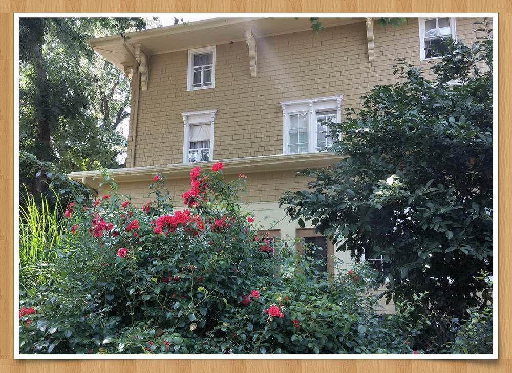 Bed & Breakfast Victorian Of Staten Island