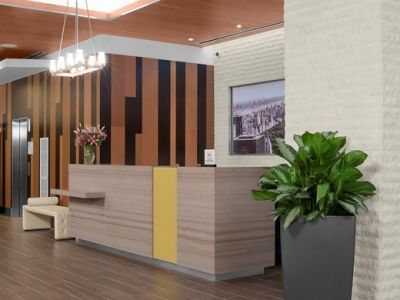 Hotel Hilton Garden Times Square Central 3*